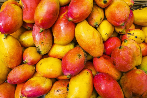 ফজলি আম